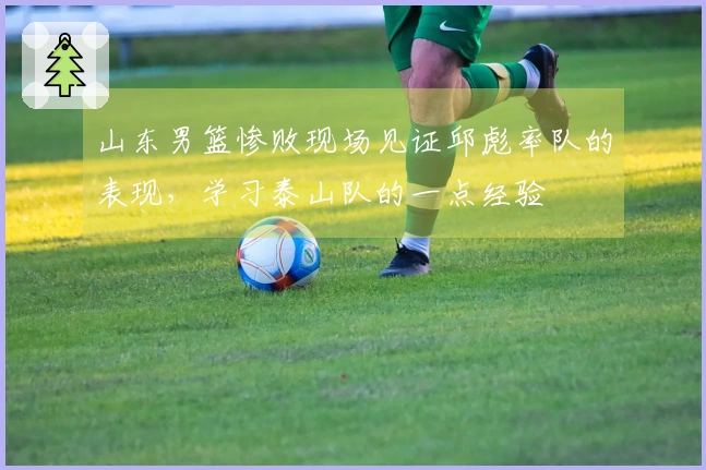 山东男篮惨败现场见证邱彪率队的表现，学习泰山队的一点经验